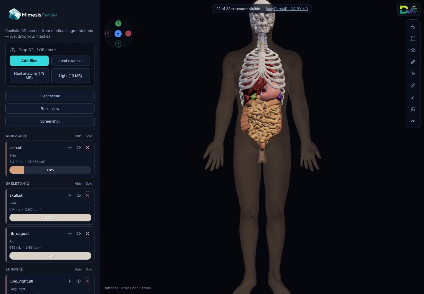 The Mimesis Render demo showing a full human anatomy from BodyParts3D: skeleton, organs and a translucent skin